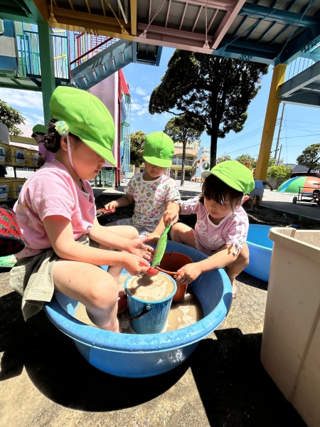 IMG 4546