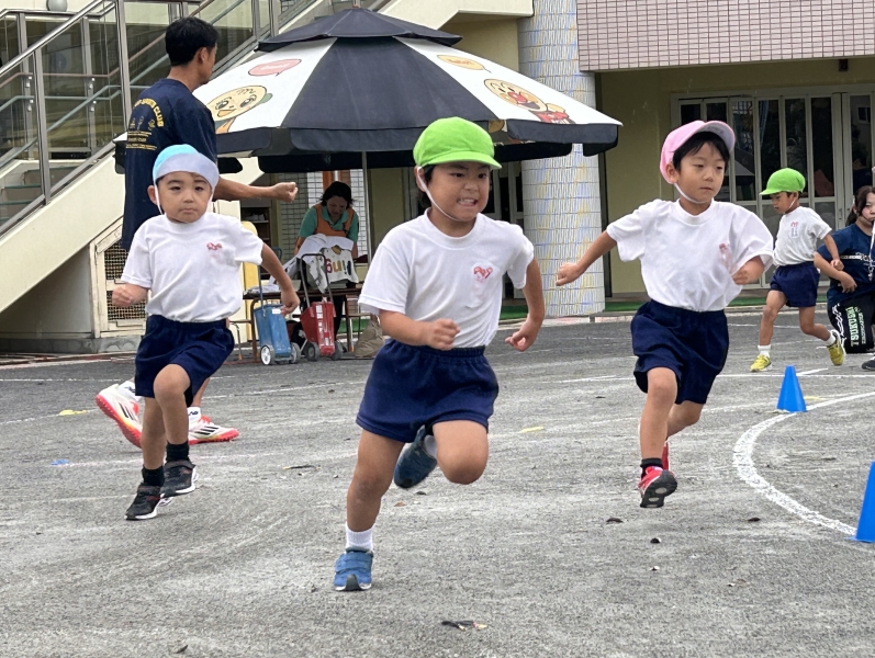 IMG 7362